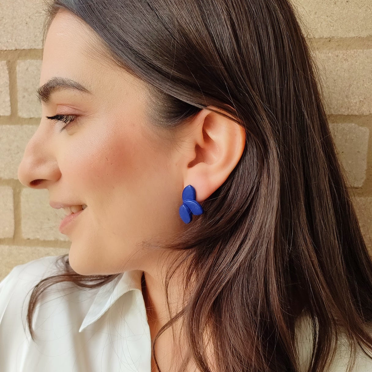 Aretes Manuela